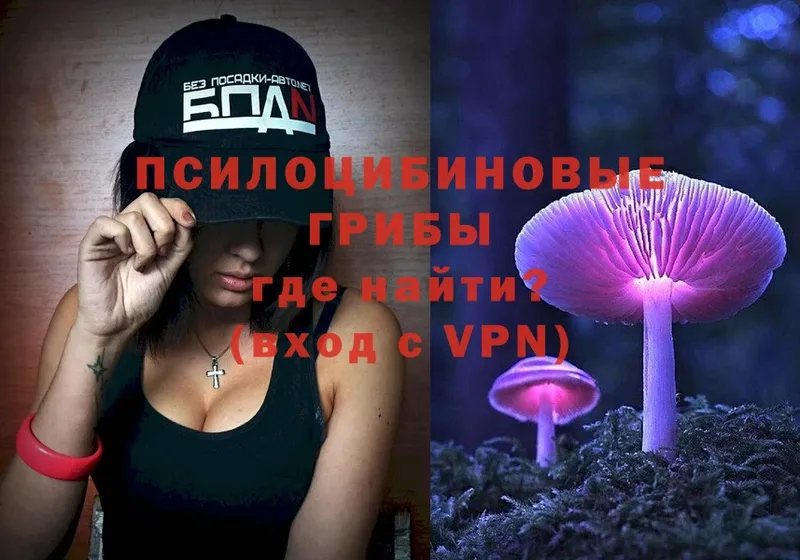 сколько стоит  Нижнекамск  МЕГА ТОР  Псилоцибиновые грибы Cubensis 